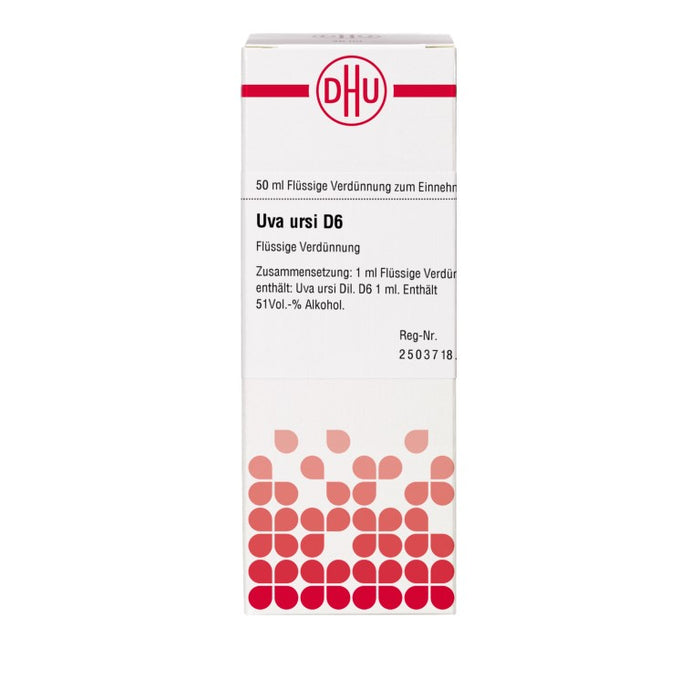 DHU Uva ursi D 6 Dilution, 50 ml Lösung