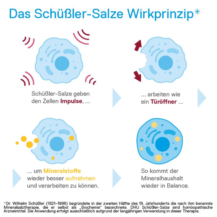 DHU Schüßler-Salz Nr. 4 Kalium chloratum D6 – Das Mineralsalz der Schleimhäute – das Original – umweltfreundlich im Arzneiglas, 80 pcs. Tablets