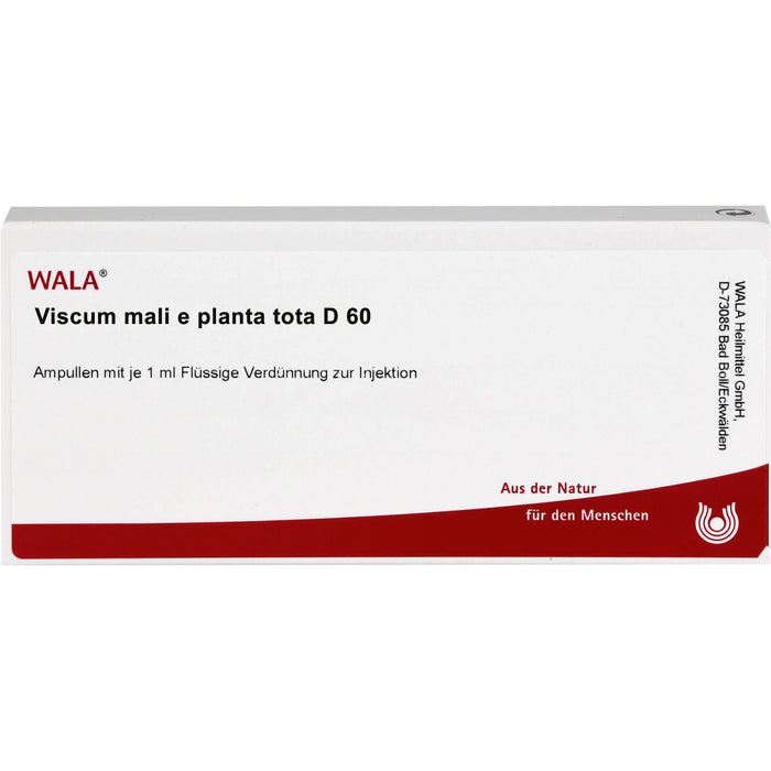 Viscum Mali e planta tota D60 Wala Ampullen, 10X1 ml AMP