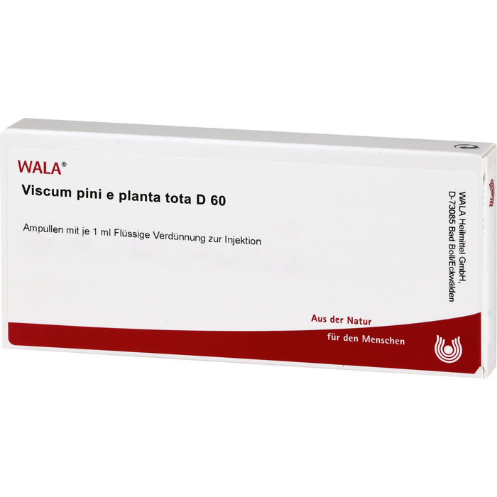 Viscum Pini e planta tota D60 Wala Ampullen, 10X1 ml AMP