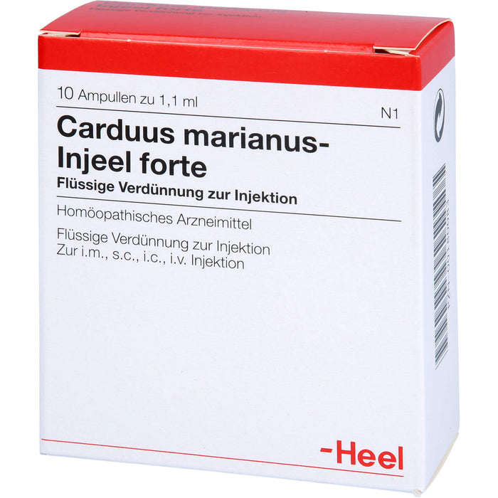 Carduus marianus Injeel forte Amp., 10 St AMP