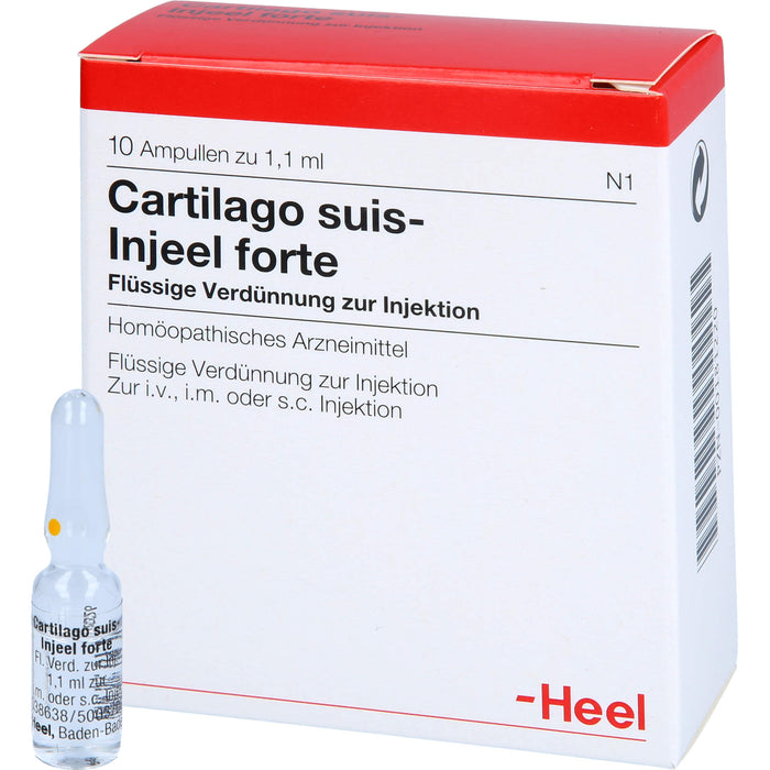 Heel Cartilago suis-Injeel forte flüssige Verdünnung, 10 St. Ampullen