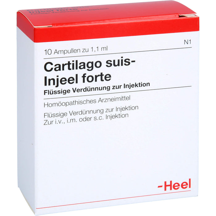 Heel Cartilago suis-Injeel forte flüssige Verdünnung, 10 St. Ampullen