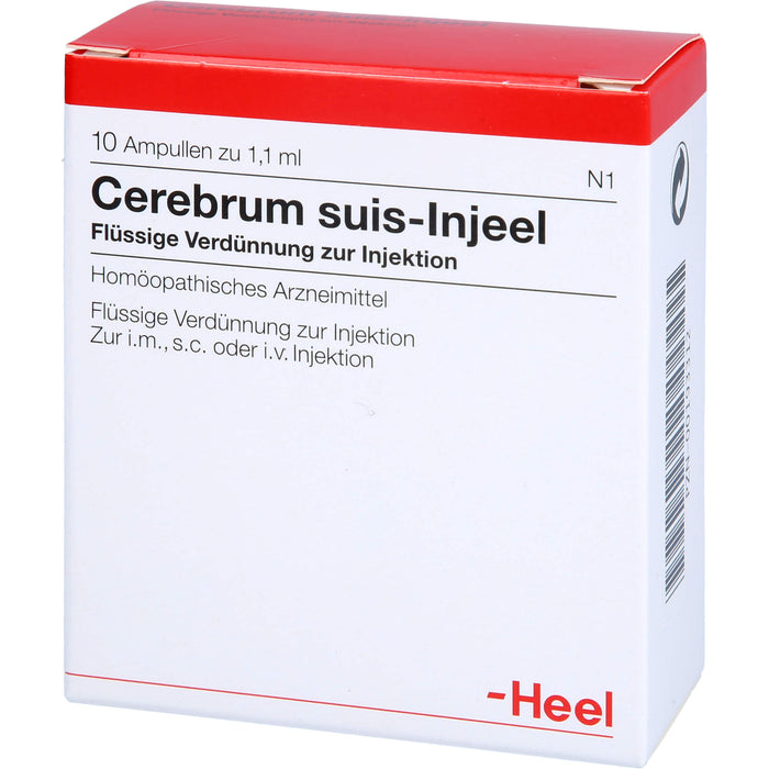 Cerebrum suis-Injeel flüssige Verdünnung, 10 pcs. Ampoules