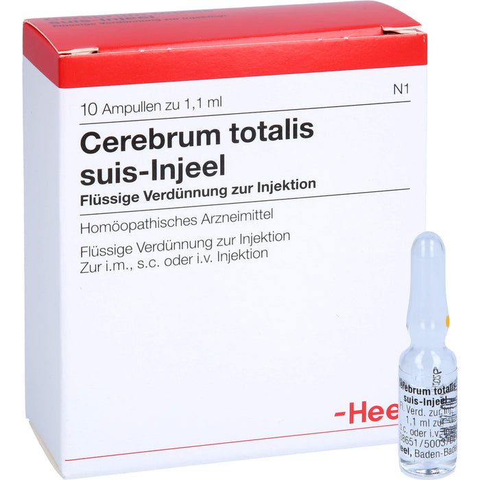 Cerebrum Totalis Suis Injeel flüssige Verdünnung, 10 pcs. Ampoules