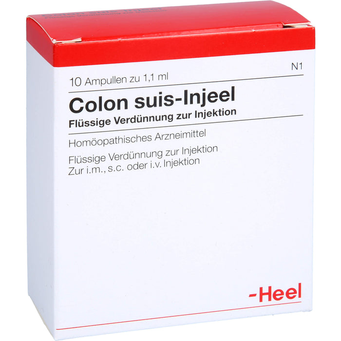 Heel Colon suis-Injeel flüssige Verdünnung, 10 St. Ampullen