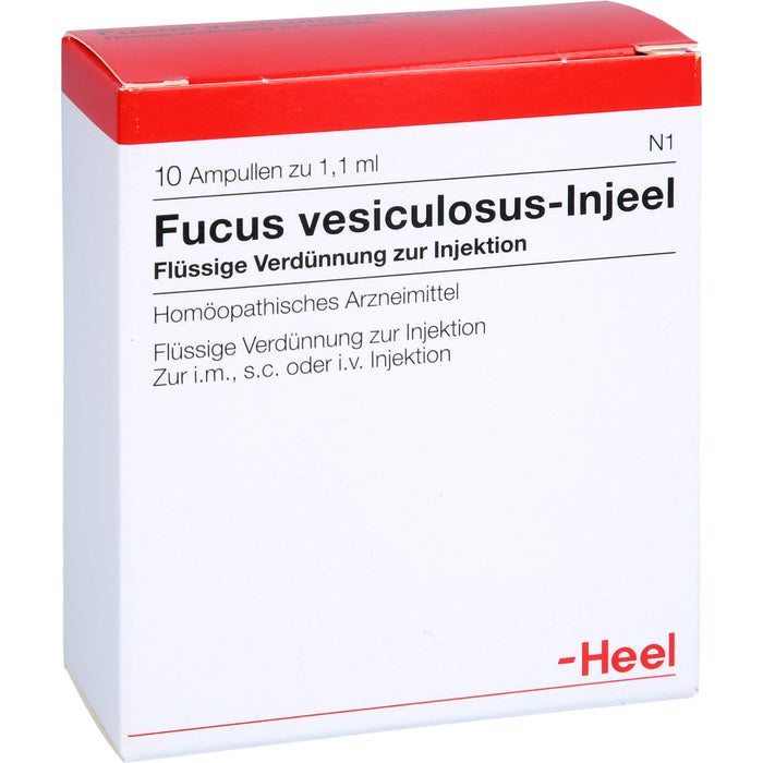 Fucus Vesiculosus Injeele Amp., 10 St AMP