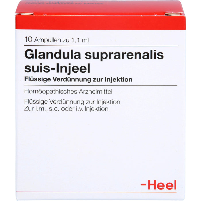 Glandula suprarenalis suis-Injeel Ampullen, 10 pcs. Ampoules