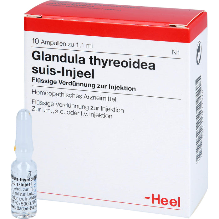 Glandula thyreoidea suis-Injeel flüssige Verdünnung, 10 St. Ampullen