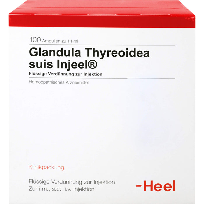 Glandula thyreoidea suis-Injeel Inj.-Lsg., 100 St AMP