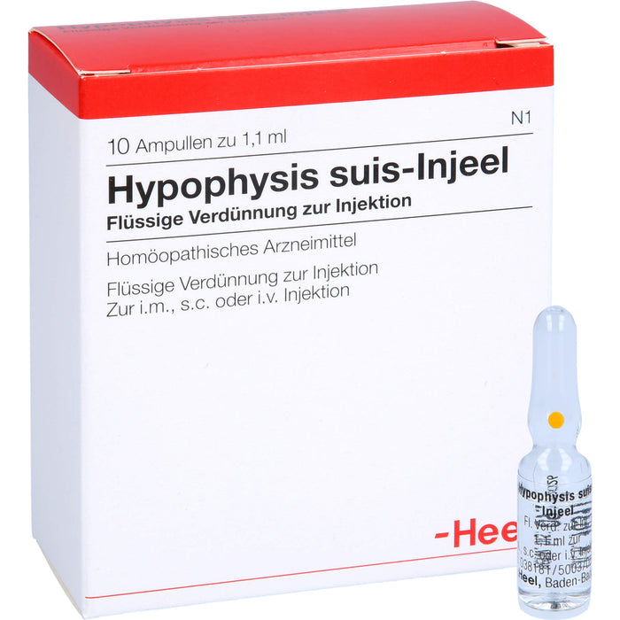 Hypophysis suis-Injeel flüssige Verdünnung, 10 pcs. Ampoules