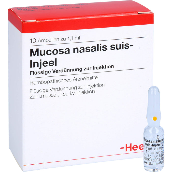 Mucosa nasalis suis-Injeel Inj.-Lsg., 10 St AMP