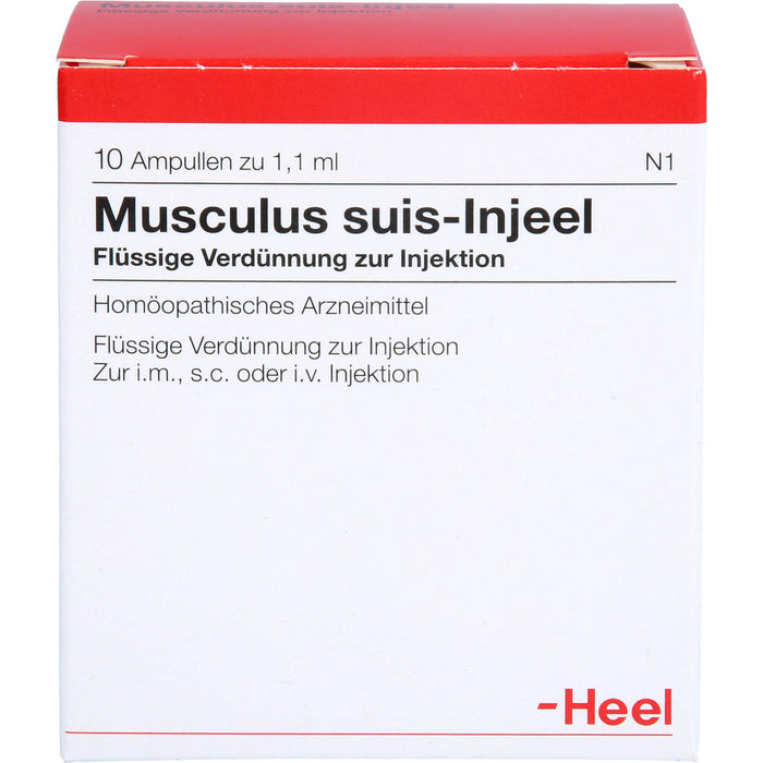 Musculus suis-Injeel Inj.-Lsg., 10 St AMP