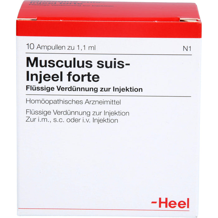 Musculus suis-Injeel forte flüssige Verdünnung, 10 pc Ampoules