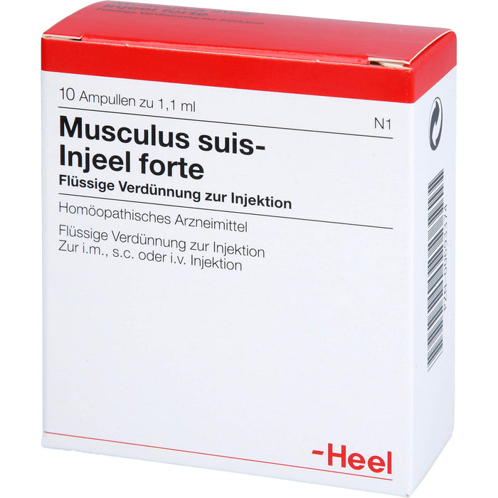 Musculus suis-Injeel forte flüssige Verdünnung, 10 pc Ampoules