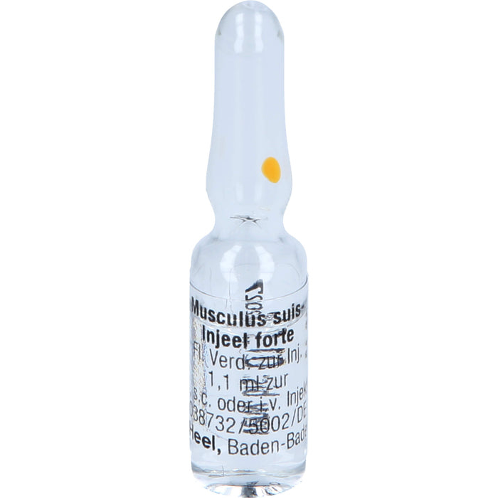 Musculus suis-Injeel forte flüssige Verdünnung, 10 pc Ampoules