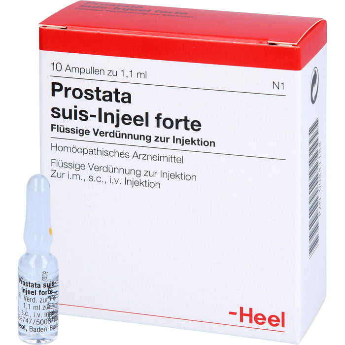 Prostata suis-Injeel forte Injektionslösung, 10 pc Ampoules