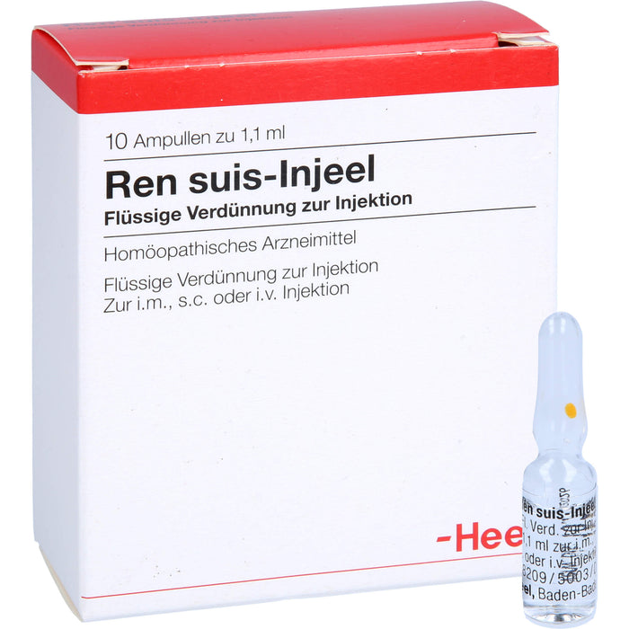 Ren suis-Injeel Injektionslösung, 10 pc Ampoules