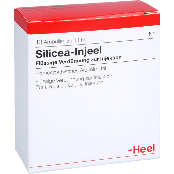 Heel Silicea-Injeel flüssige Verdünnung zur Injektion, 10 pcs. Ampoules