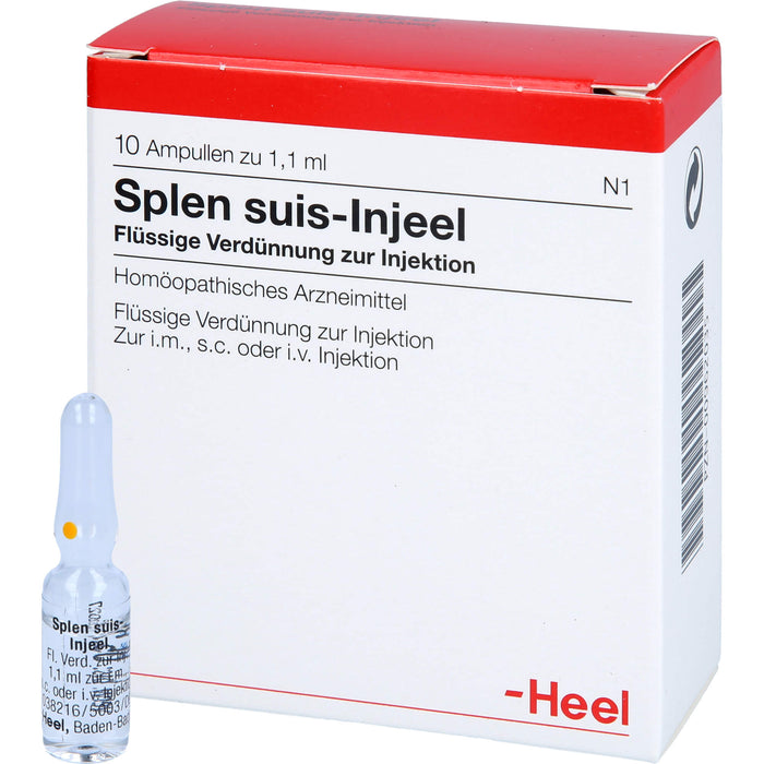 Splen suis-Injeel Inj.-Lsg., 10 St. Ampullen