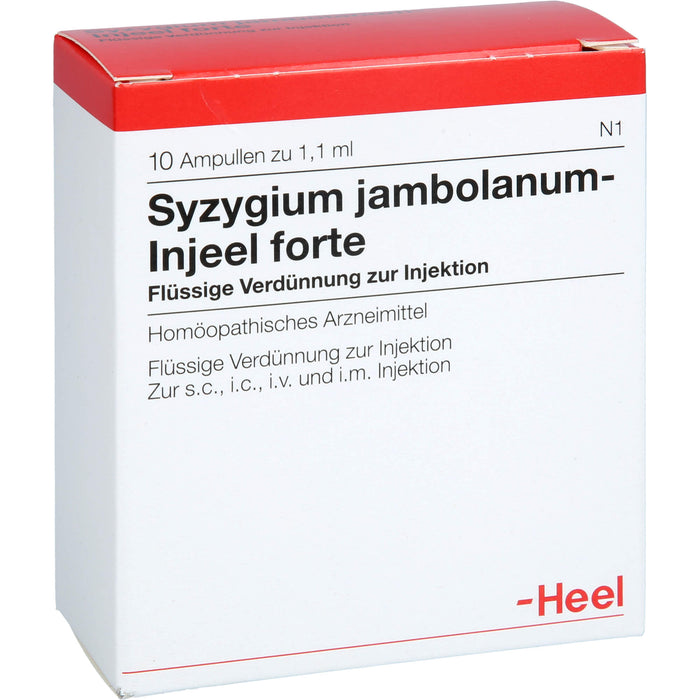 Syzygium jambolanum Injeel forte Amp., 10 St AMP