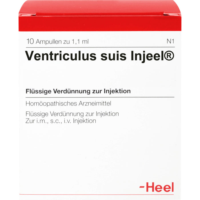 Ventriculus suis-Injeel flüssige Verdünnung, 10 St. Ampullen