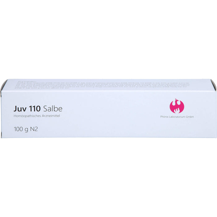 Juv 110 Salbe, 100 g Onguent