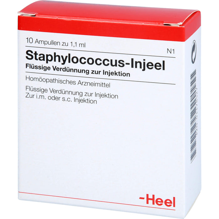 Heel Staphylococcus-Injeel flüssige Verdünnung zur Injektion, 10 pcs. Ampoules