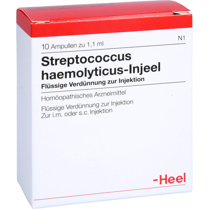 Streptococcus haemolyticus-Injeel flüssige Verdünnung, 10 pc Ampoules