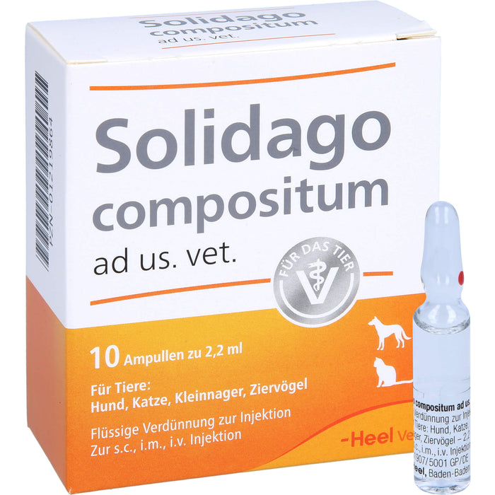 Solidago compositum ad us. vet. Ampullen für Tiere, 10 pcs. Ampoules