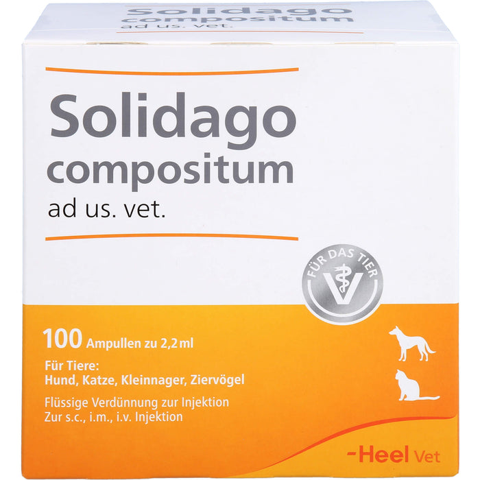 Heel Solidago compositum ad us. vet. flüssige Verdünnung zur Injektion, 100 pcs. Ampoules