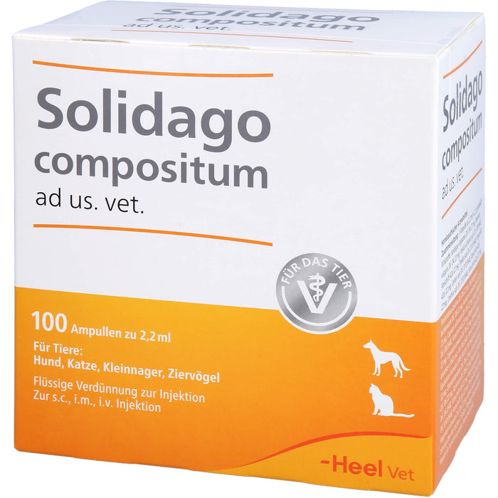 Heel Solidago compositum ad us. vet. flüssige Verdünnung zur Injektion, 100 pcs. Ampoules