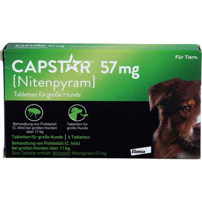 CAPSTAR 57 mg Tabletten für große Hunde bei Flohbefall, 6 pcs. Tablets