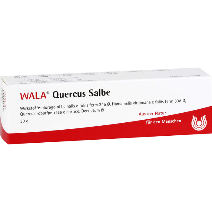 WALA Quercus Salbe bei Hämorrhoiden, 30 g Onguent