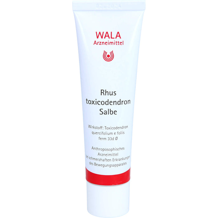 WALA Rhus toxicodendron Salbe, 30 g Ointment