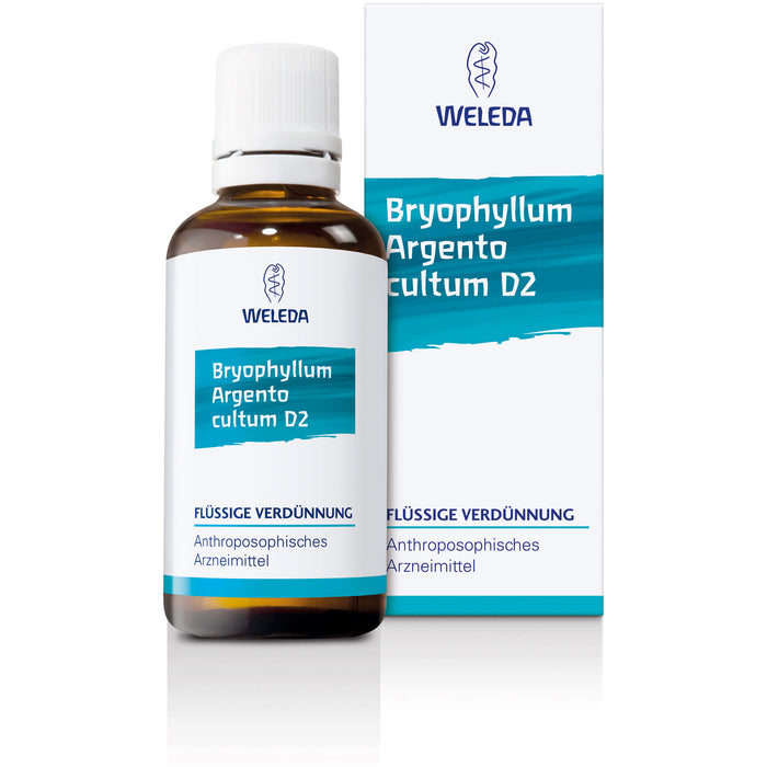 Bryophyllum Argento cultum D3 Weleda Dil., 50 ml Lösung