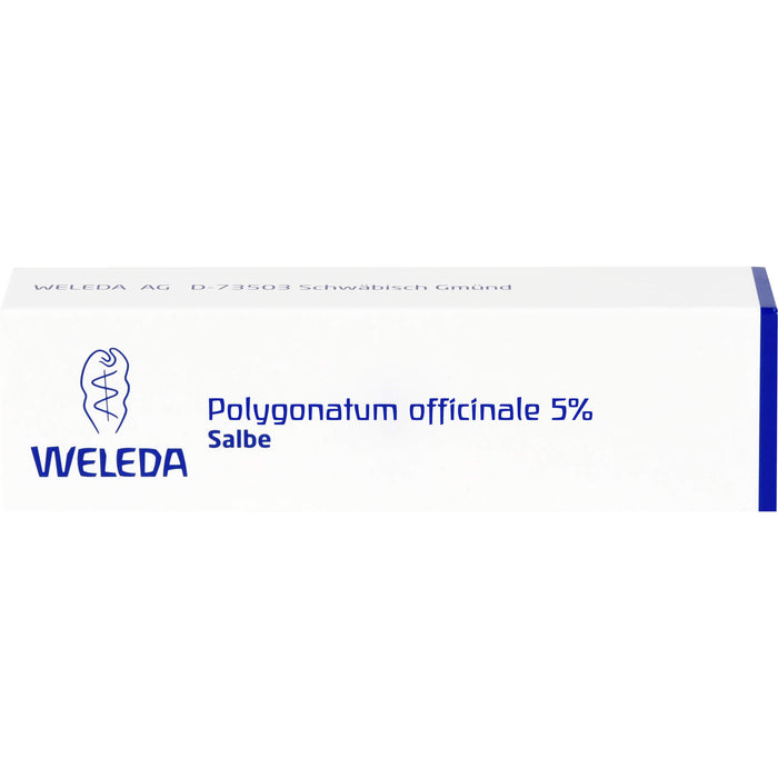 WELEDA Polygonatum officinale 5% Salbe, 25 g Onguent