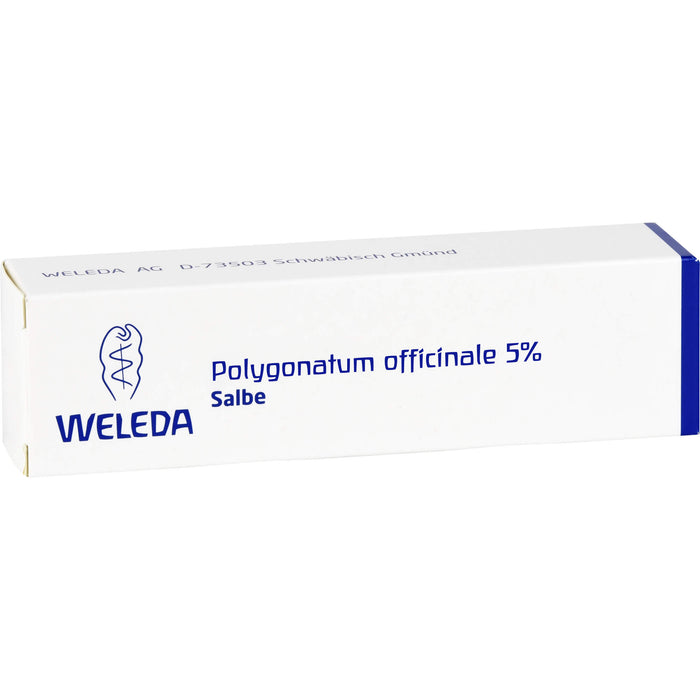 WELEDA Polygonatum officinale 5% Salbe, 25 g Ointment