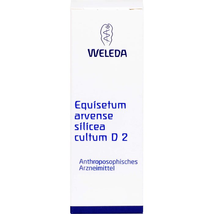 Equisetum arvense Silicea cultum Weleda D2 Dil., 50 ml DIL