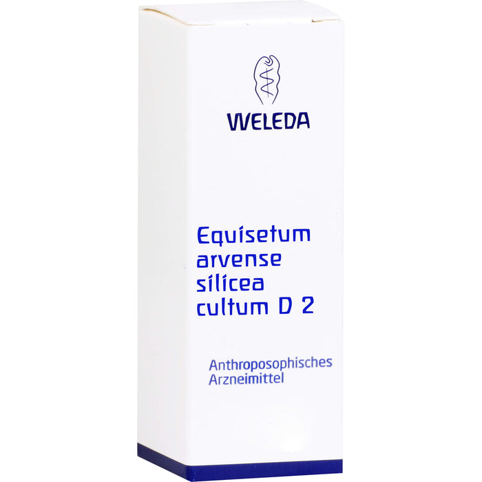 Equisetum arvense Silicea cultum Weleda D2 Dil., 50 ml DIL