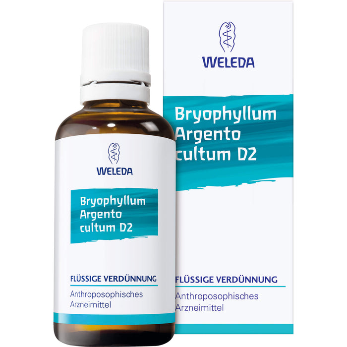 Bryophyllum Argento cultum Rh D3 Weleda Dil., 20 ml DIL