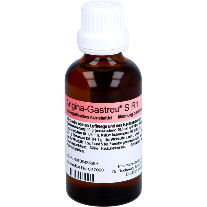 Angina-Gastreu S R1 Tropfen, 50 ml MIS