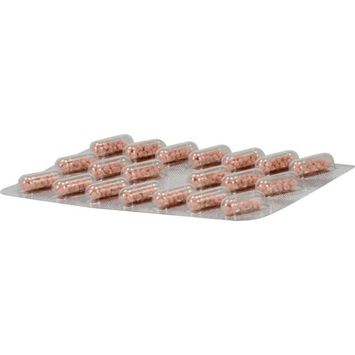 Keltican forte Kapseln, 40 pc Capsules