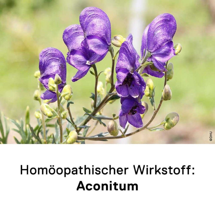 DHU Aconitum D6 Streukügelchen, 10 g Globuli