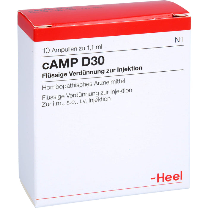 cAMP D30, 10 St AMP