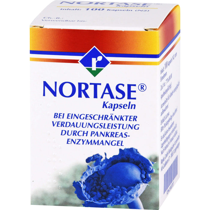 NORTASE Kapseln, 100 pc Capsules