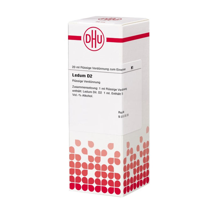 DHU Ledum D2 Dilution, 20 ml Lösung