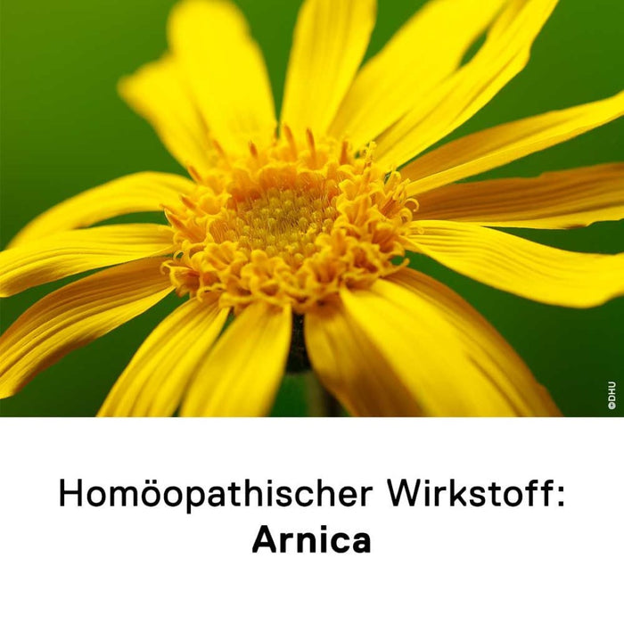 DHU Arnica D12 Streukügelchen, 10 g Globules