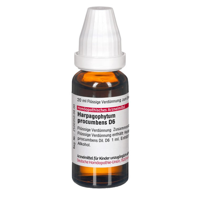 Harpagophytum procumbens D6 DHU Dilution, 20 ml Lösung