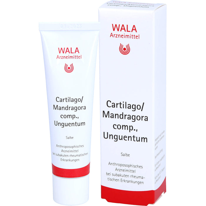 WALA Cartilago/Mandragora comp. Salbe bei subakuten rheumatischen Erkrankungen, 30 g Salbe